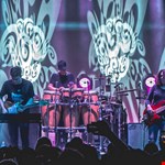 STS9 Profile Photo
